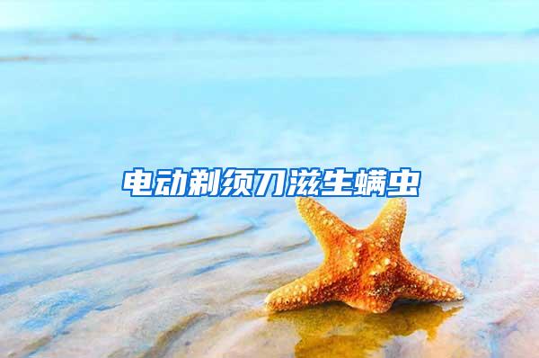 電動剃須刀滋生螨蟲