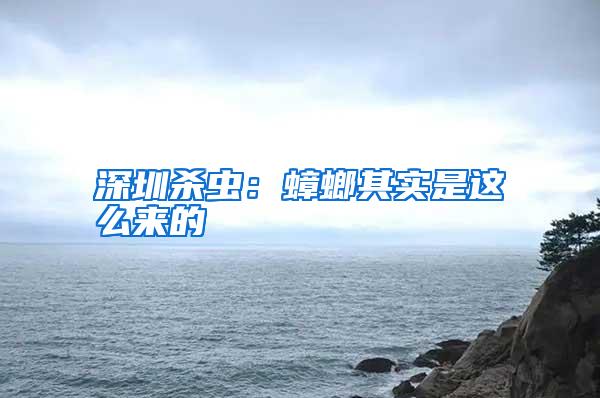 深圳殺蟲:蟑螂其實是這么來的