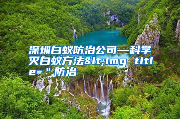 深圳白蟻防治公司—科學(xué)滅白蟻方法<img title="防治