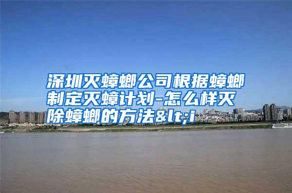 深圳滅蟑螂公司根據(jù)蟑螂制定滅蟑計劃-怎么樣滅除蟑螂的方法<i