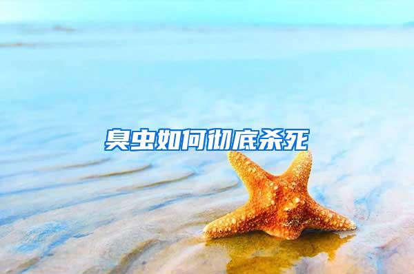 臭蟲如何徹底殺死