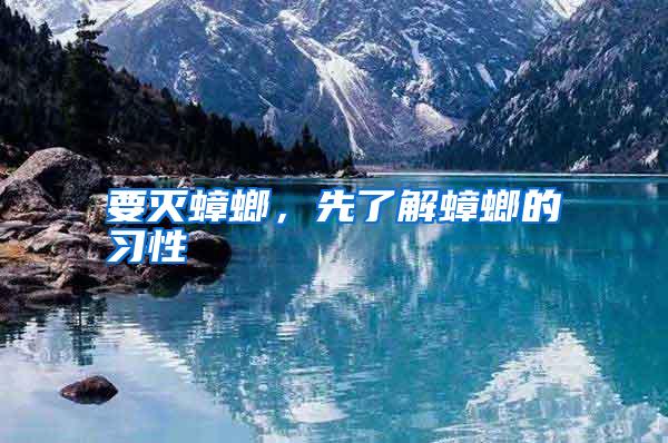 要滅蟑螂,先了解蟑螂的習(xí)性
