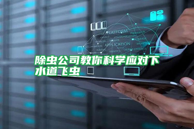 除蟲(chóng)公司教你科學(xué)應(yīng)對(duì)下水道飛蟲(chóng)