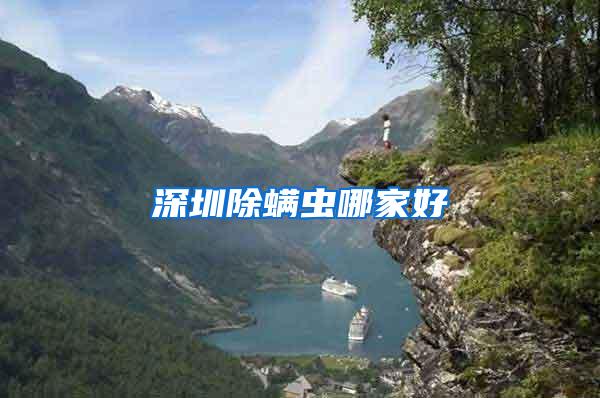 深圳除螨蟲(chóng)哪家好