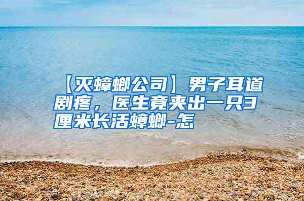 【滅蟑螂公司】男子耳道劇疼,醫(yī)生竟夾出一只3厘米長(zhǎng)活蟑螂-怎