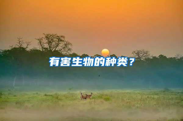 有害生物的種類？