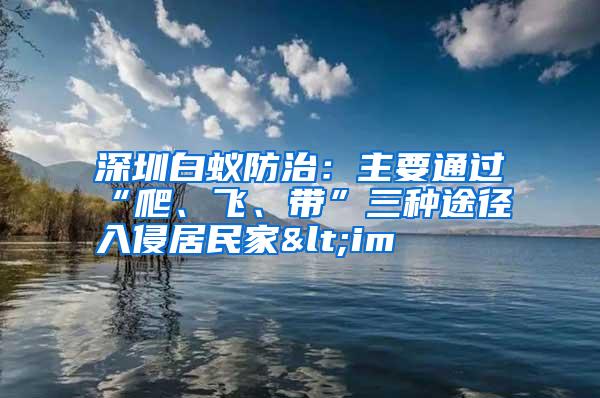 深圳白蟻防治:主要通過“爬、飛、帶”三種途徑入侵居民家<im