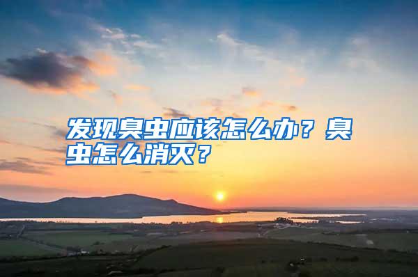 發(fā)現(xiàn)臭蟲應(yīng)該怎么辦?臭蟲怎么消滅?