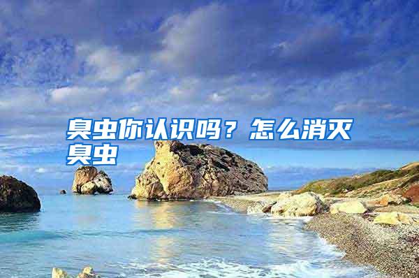 臭蟲你認(rèn)識嗎?怎么消滅臭蟲