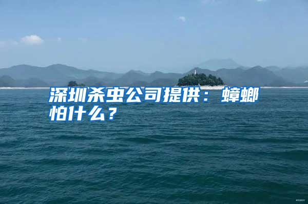 深圳殺蟲(chóng)公司提供:蟑螂怕什么?