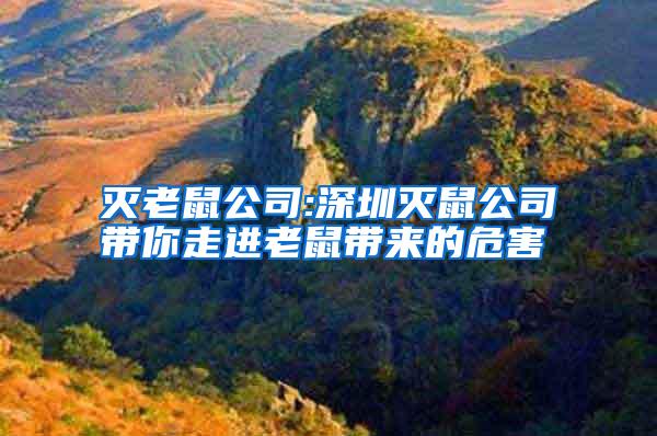 滅老鼠公司:深圳滅鼠公司帶你走進(jìn)老鼠帶來(lái)的危害