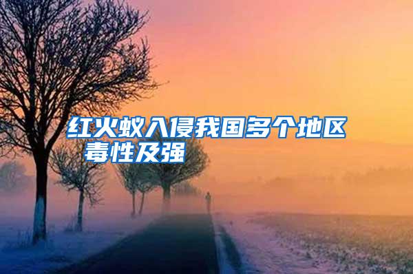 紅火蟻入侵我國多個(gè)地區(qū) 毒性及強(qiáng)