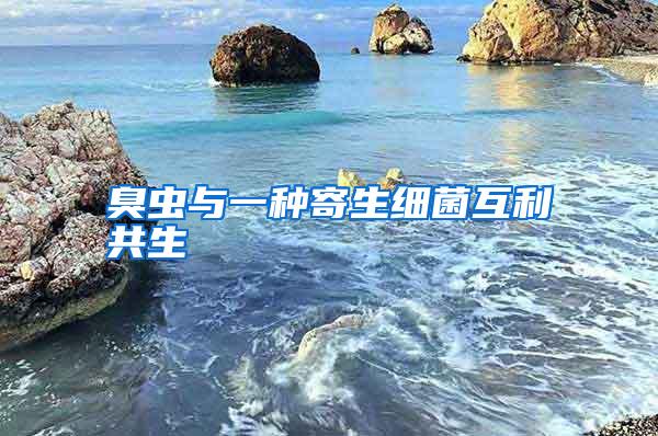 臭蟲與一種寄生細菌互利共生
