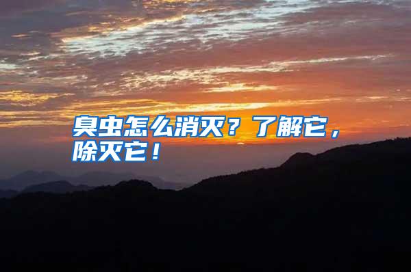 臭蟲(chóng)怎么消滅?了解它,除滅它!