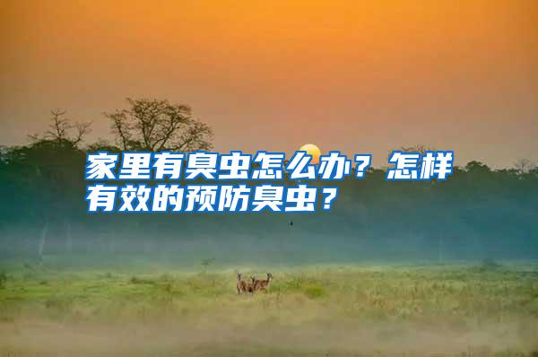 家里有臭蟲怎么辦?怎樣有效的預(yù)防臭蟲?