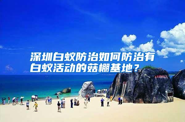 深圳白蟻防治如何防治有白蟻活動(dòng)的菇棚基地?