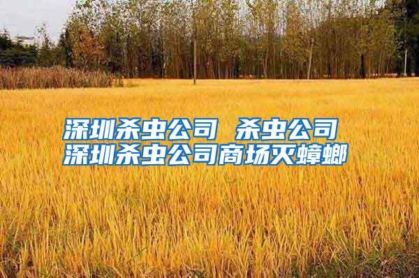深圳殺蟲公司 殺蟲公司 深圳殺蟲公司商場(chǎng)滅蟑螂