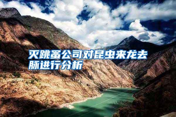 滅跳蚤公司對昆蟲來龍去脈進(jìn)行分析