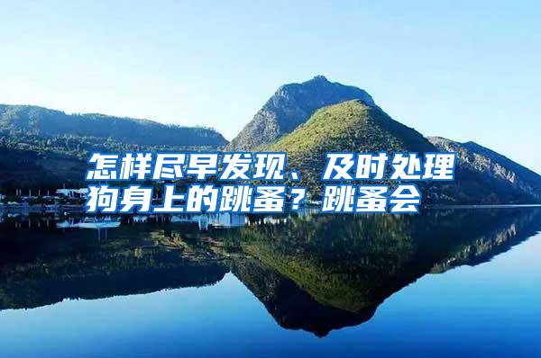 怎樣盡早發(fā)現、及時處理狗身上的跳蚤?跳蚤會