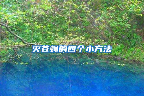 滅蒼蠅的四個小方法