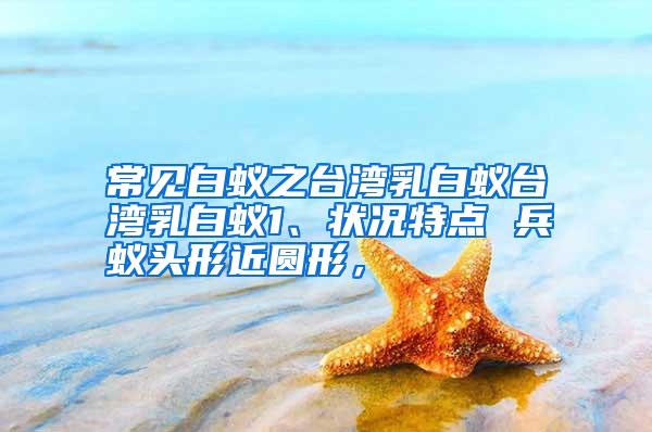 常見白蟻之臺(tái)灣乳白蟻臺(tái)灣乳白蟻1、狀況特點(diǎn) 兵蟻頭形近圓形,