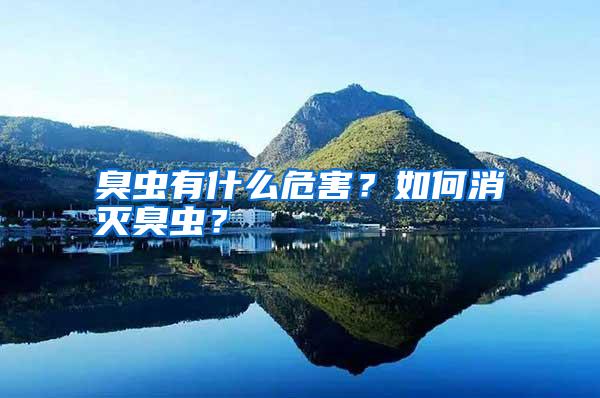 臭蟲(chóng)有什么危害?如何消滅臭蟲(chóng)?