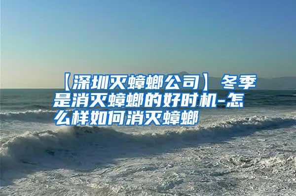 【深圳滅蟑螂公司】冬季是消滅蟑螂的好時(shí)機(jī)-怎么樣如何消滅蟑螂