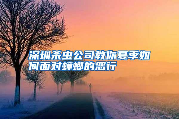 深圳殺蟲(chóng)公司教你夏季如何面對(duì)蟑螂的惡行