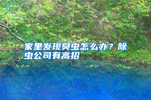 家里發(fā)現(xiàn)臭蟲怎么辦?除蟲公司有高招