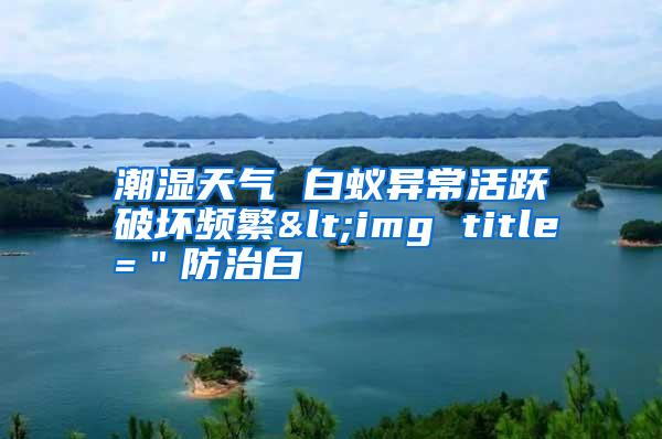 潮濕天氣 白蟻異?;钴S破壞頻繁<img title="防治白