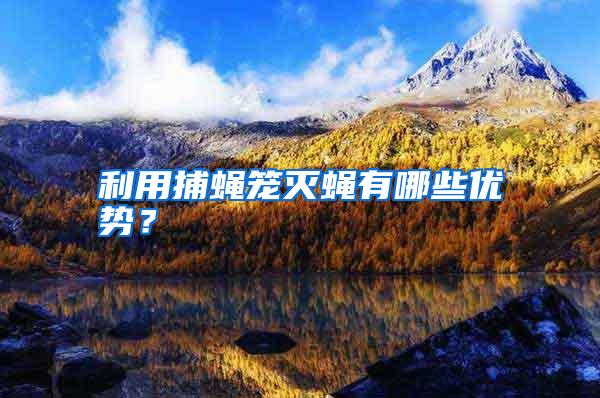 利用捕蠅籠滅蠅有哪些優(yōu)勢(shì)?