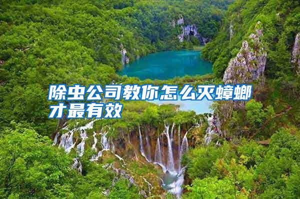 除蟲(chóng)公司教你怎么滅蟑螂才最有效