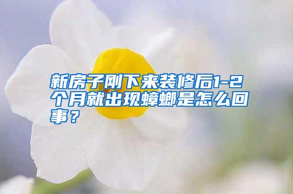 新房子剛下來(lái)裝修后1-2個(gè)月就出現(xiàn)蟑螂是怎么回事?