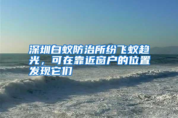 深圳白蟻防治所紛飛蟻趨光,可在靠近窗戶的位置發(fā)現(xiàn)它們
