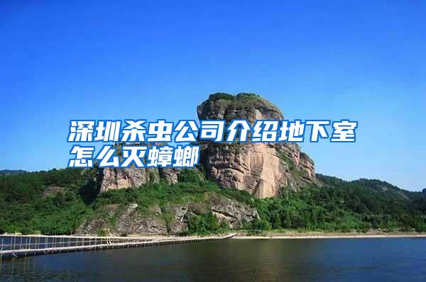 深圳殺蟲(chóng)公司介紹地下室怎么滅蟑螂