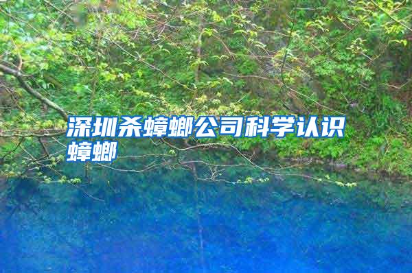 深圳殺蟑螂公司科學認識蟑螂