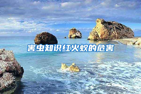 害蟲(chóng)知識(shí)紅火蟻的危害