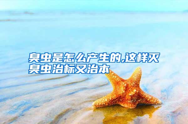 臭蟲是怎么產(chǎn)生的,這樣滅臭蟲治標又治本