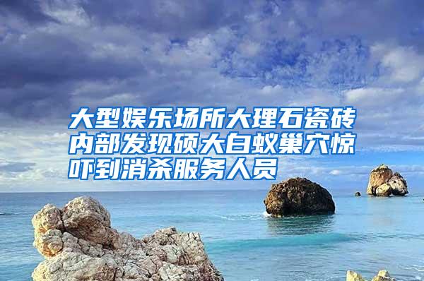 大型娛樂場所大理石瓷磚內(nèi)部發(fā)現(xiàn)碩大白蟻巢穴驚嚇到消殺服務(wù)人員