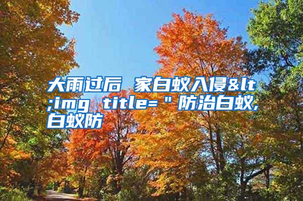 大雨過(guò)后 家白蟻入侵<img title="防治白蟻,白蟻防