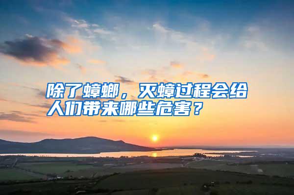 除了蟑螂,滅蟑過程會給人們帶來哪些危害?