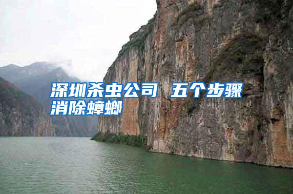 深圳殺蟲(chóng)公司 五個(gè)步驟消除蟑螂