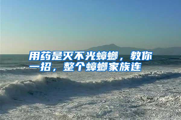 用藥是滅不光蟑螂,教你一招,整個(gè)蟑螂家族連