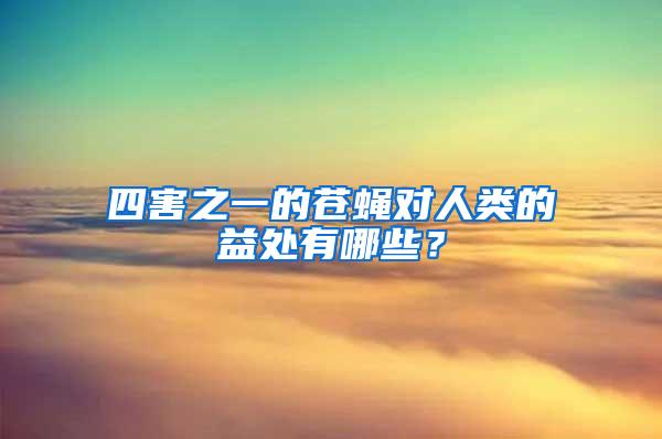 四害之一的蒼蠅對人類的益處有哪些？