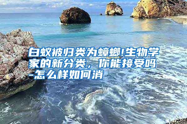 白蟻被歸類(lèi)為蟑螂!生物學(xué)家的新分類(lèi),你能接受嗎-怎么樣如何消