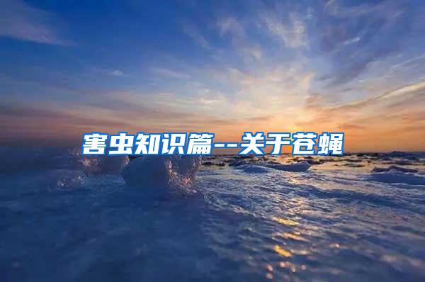 害蟲知識(shí)篇--關(guān)于蒼蠅