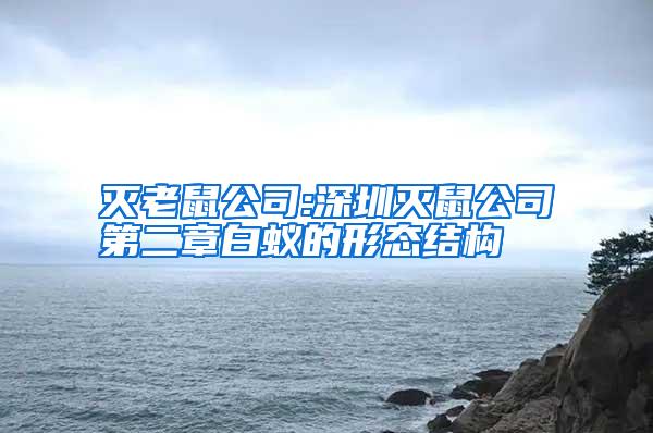 滅老鼠公司:深圳滅鼠公司第二章白蟻的形態(tài)結(jié)構(gòu)