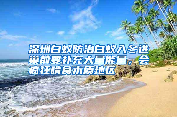深圳白蟻防治白蟻入冬進巢前要補充大量能量,會瘋狂啃食木質(zhì)地區(qū)