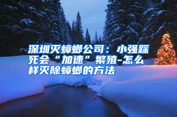 深圳滅蟑螂公司:小強踩死會“加速”繁殖-怎么樣滅除蟑螂的方法