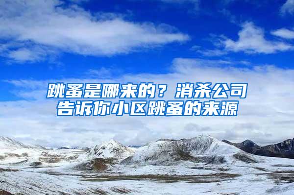 跳蚤是哪來(lái)的？消殺公司告訴你小區(qū)跳蚤的來(lái)源